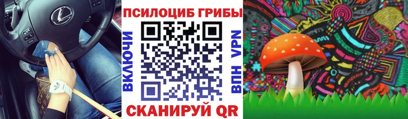 Галлюциногенные грибы Magic Shrooms  Копейск 