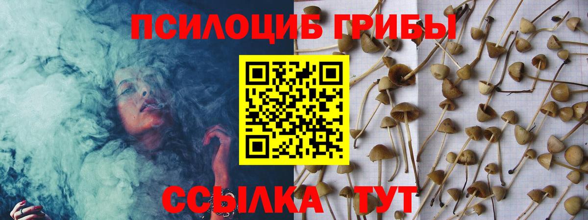 Псилоцибиновые грибы прущие грибы Копейск