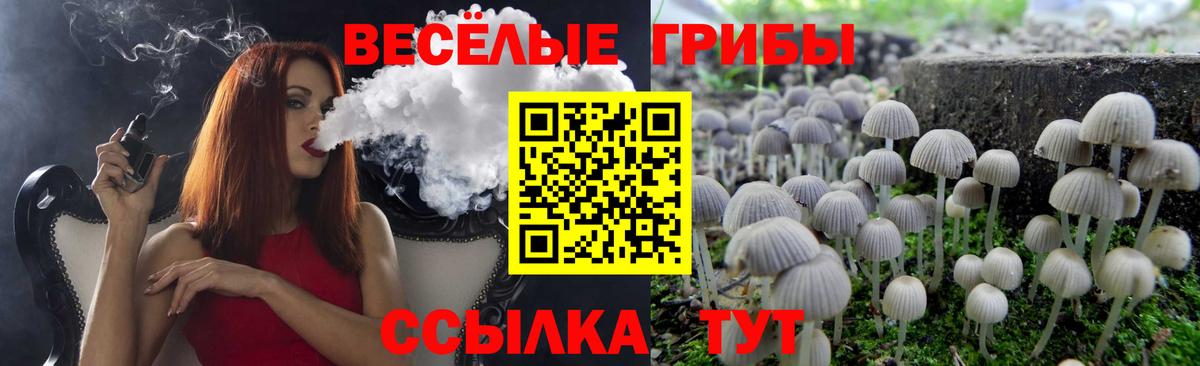 Копейск  Галлюциногенные грибы GOLDEN TEACHER  где найти   Вход с VPN  Галлюциногенные грибы мицелий 